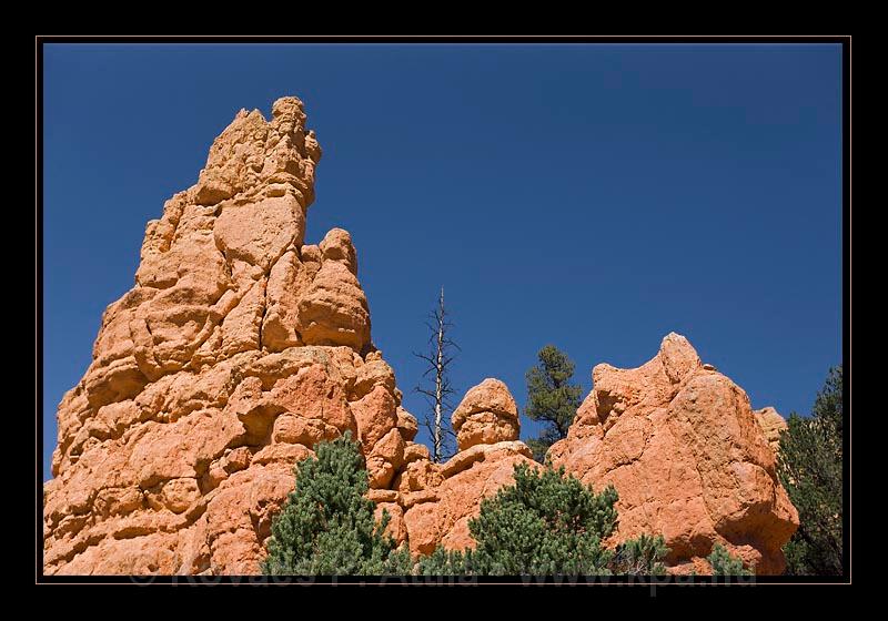 Red Canyon 25.jpg